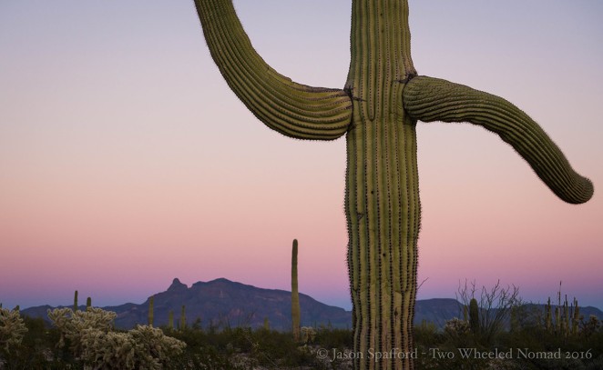 Goodnight sun, good evening to you dusk. (Organ Pipe Cactus National Monument, AZ.)