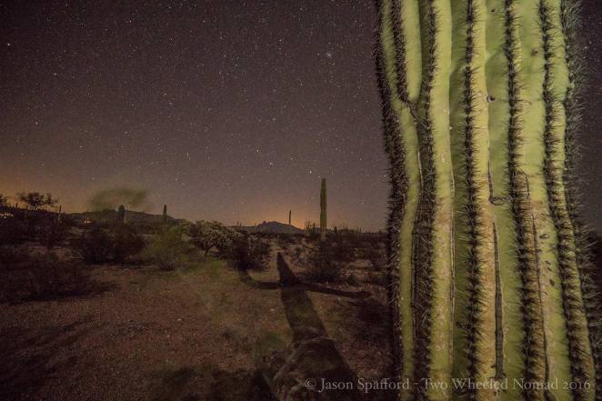Moon shadows will excite as much as wash the place in light. (Organ Pipe Cactus National Monument, AZ.)